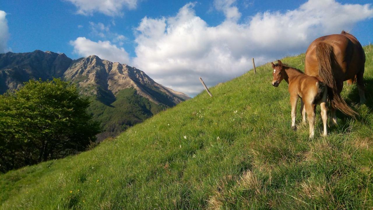 B&B La Bredia Fivizzano Dış mekan fotoğraf