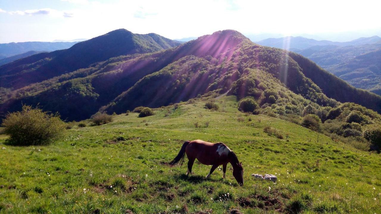 B&B La Bredia Fivizzano Dış mekan fotoğraf