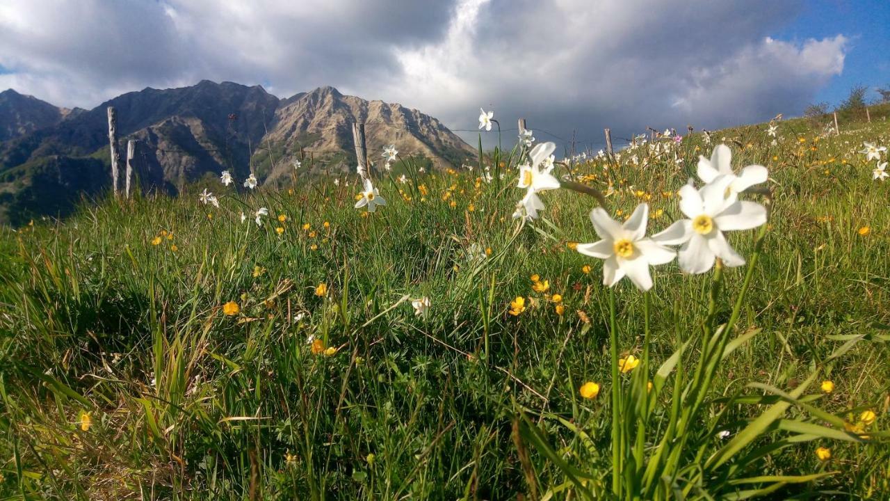 B&B La Bredia Fivizzano Dış mekan fotoğraf